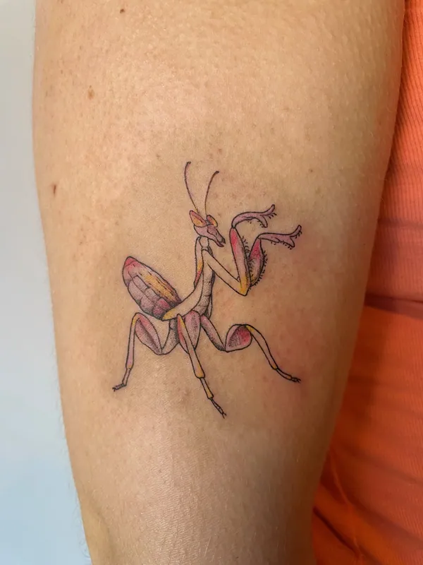 Fine-line color tattoo of a pink orchid mantis mid-step with its forelegs raised on an upper arm