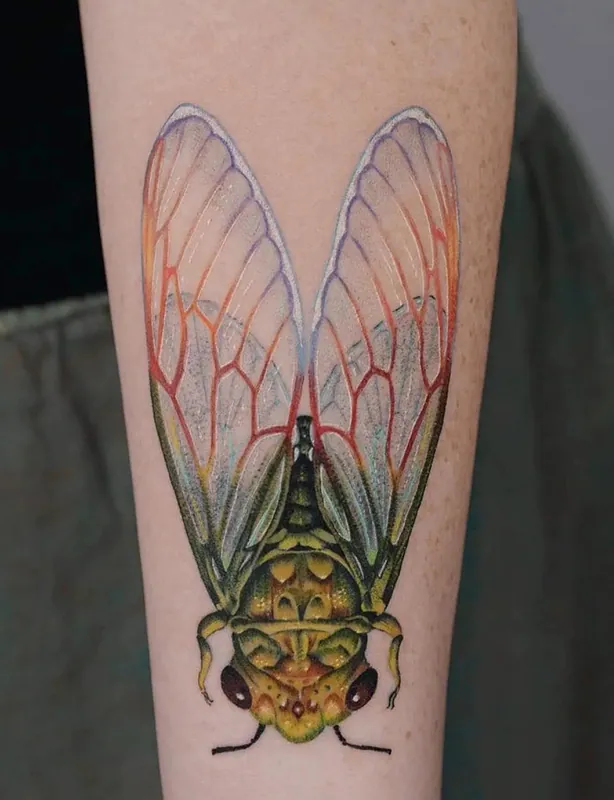 Color realism cicada tattoo with translucent red-veined wings held upright on a forearm