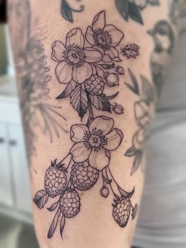 Black-and-grey fine-line blackberry tattoo with blossoms, ripe berries and a ladybug on an upper arm