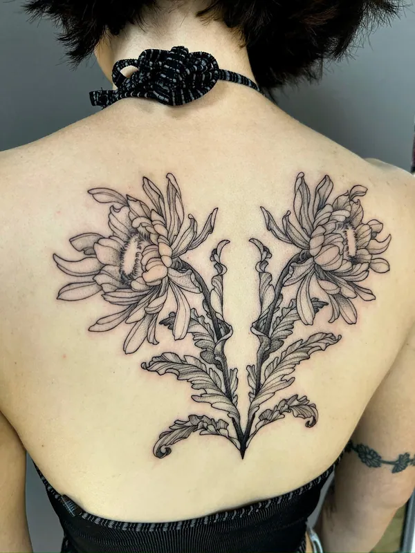 Symmetrical fine-line black-and-grey tattoo of two chrysanthemums with curling leaves across an upper back